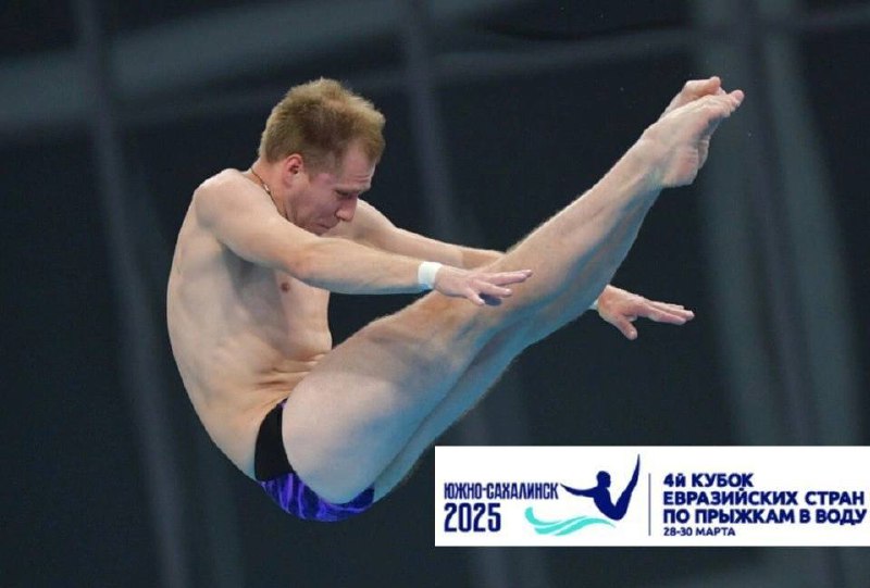 Кубок Евразийских стран по прыжкам в воду