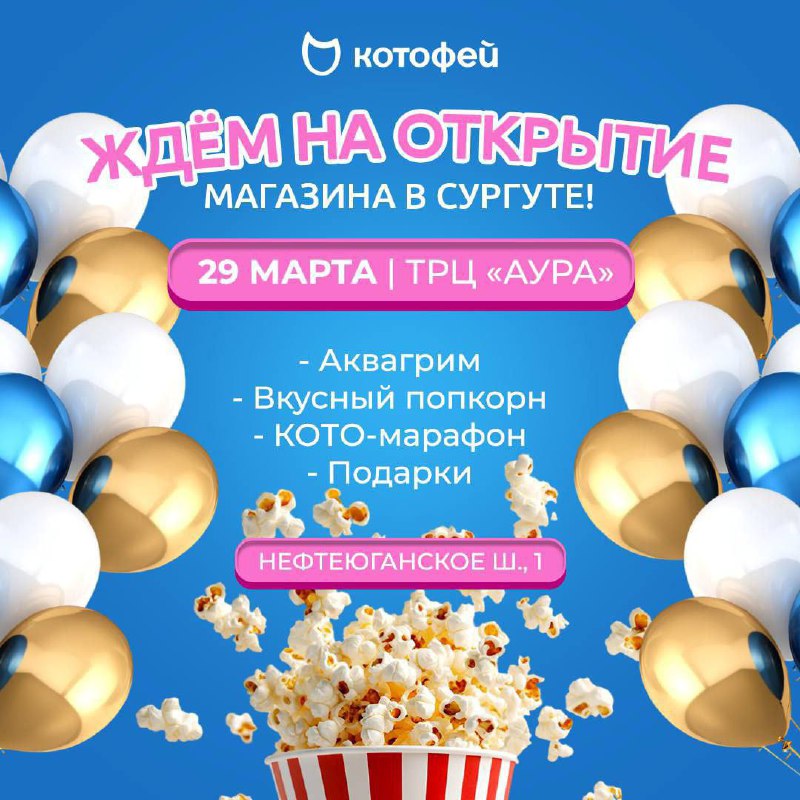 Праздничное открытие магазина «Котофей»