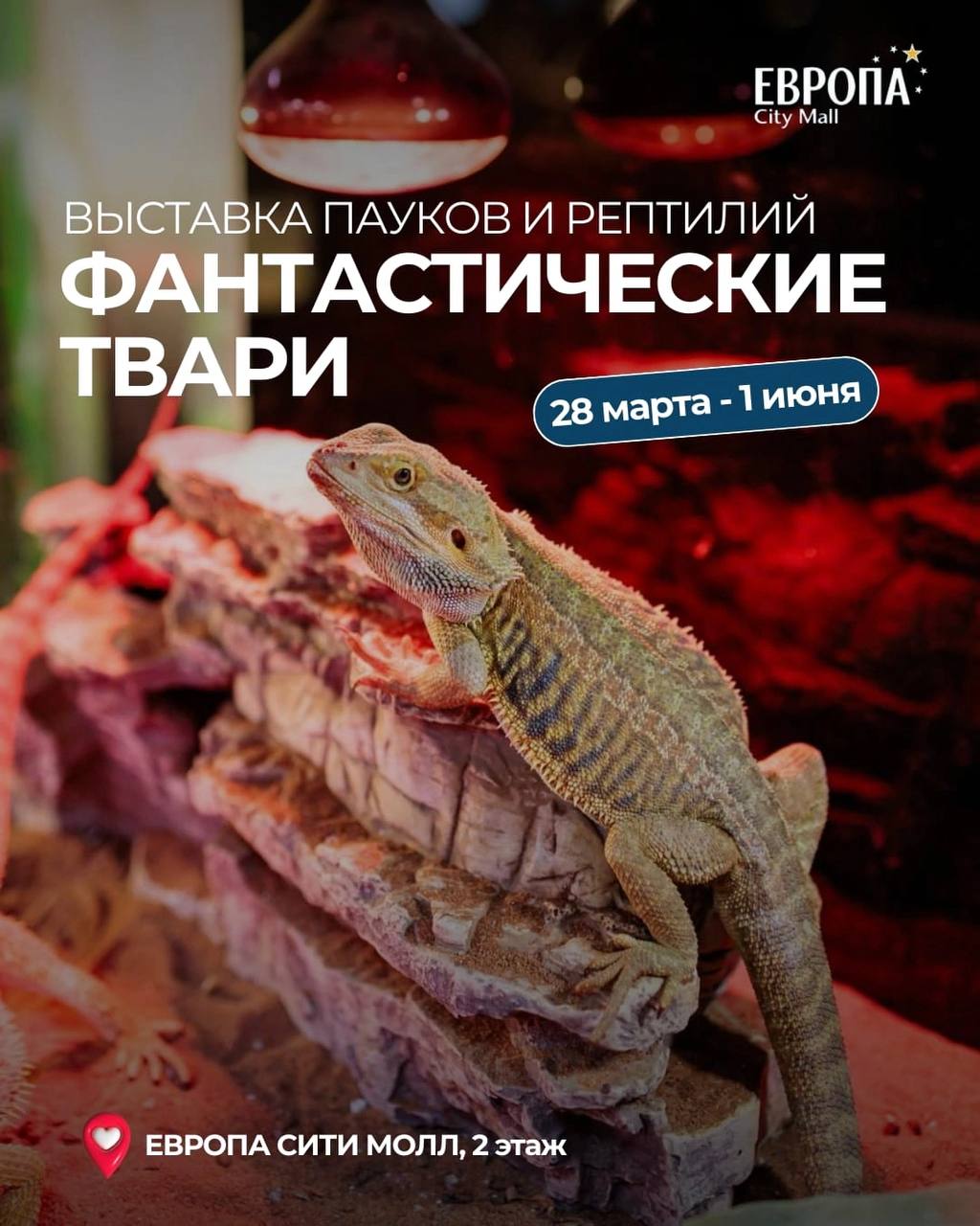 Выставка пауков «Фантастические твари»