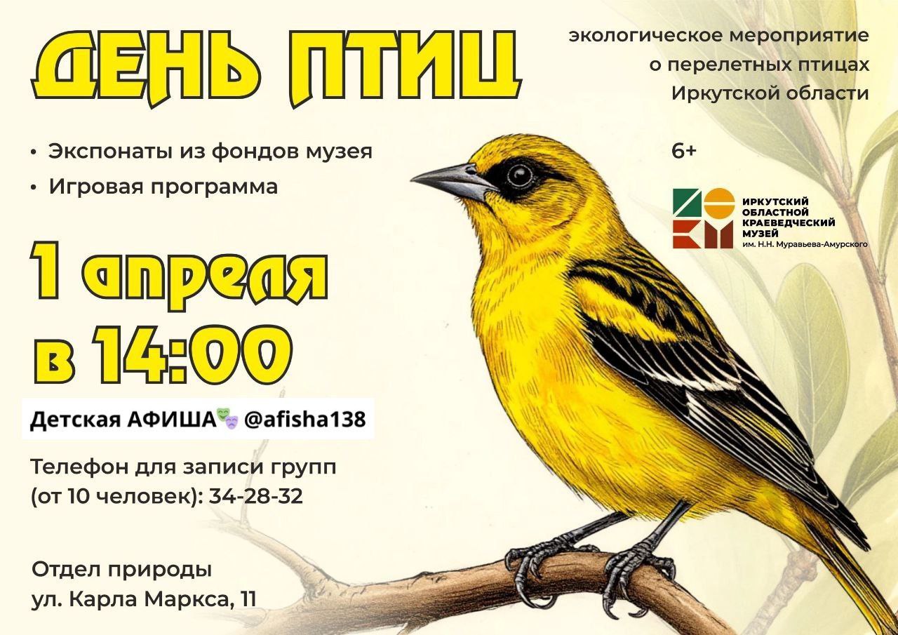 День птиц в отделе природы