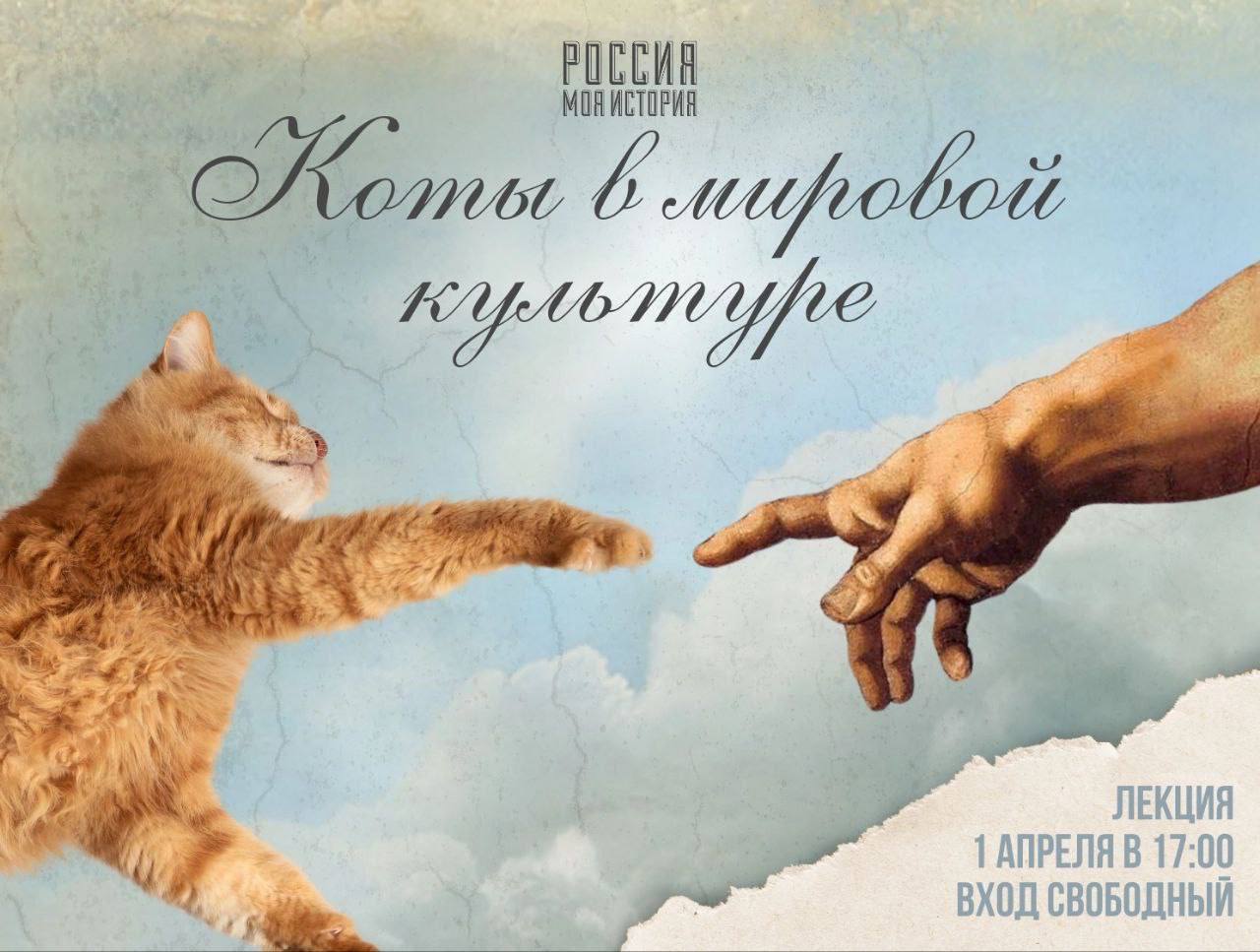 Кто такой кот – просто домашний любимец или нечто большее?