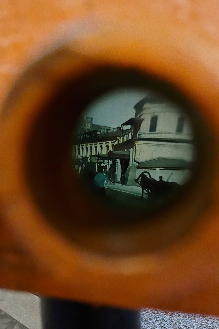 Рыжие бинокли