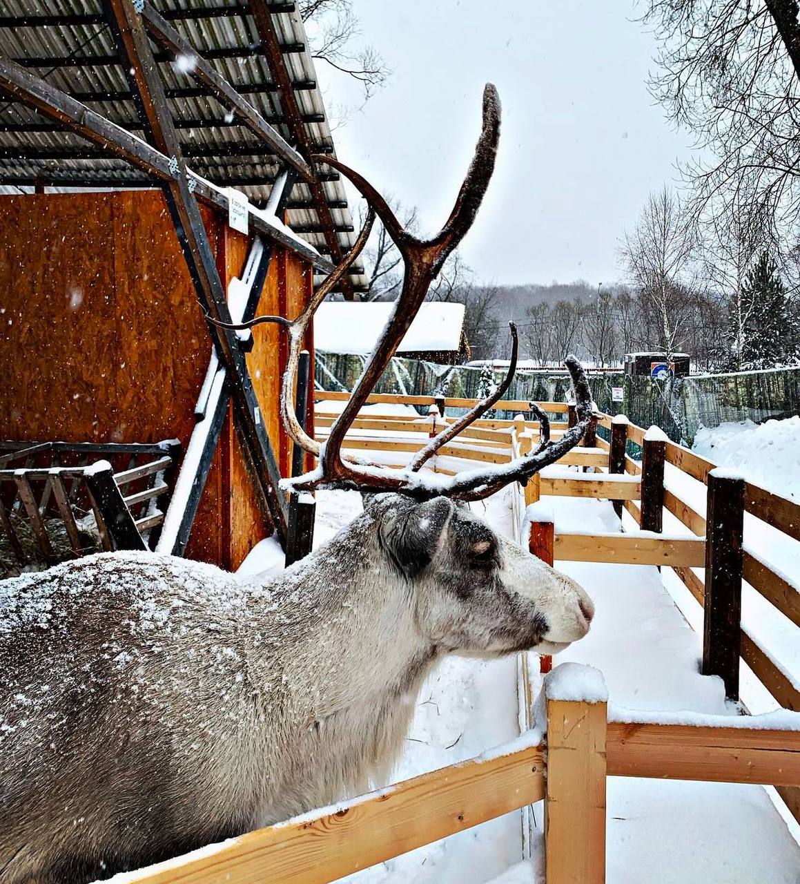 На «Городской ферме» появился новый житель
