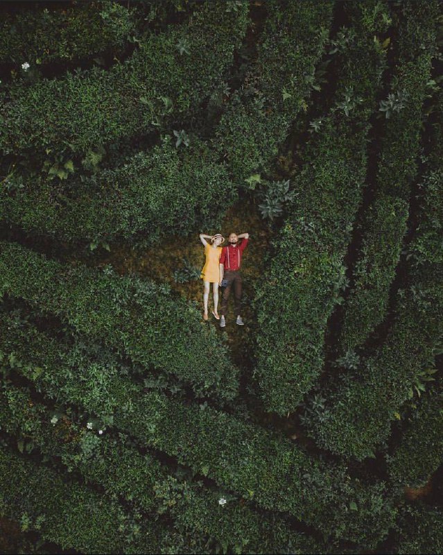 Посещение Мацестинских чайных плантаций