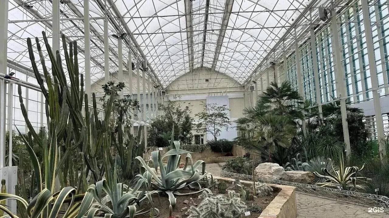 Ботанический сад + экскурсия