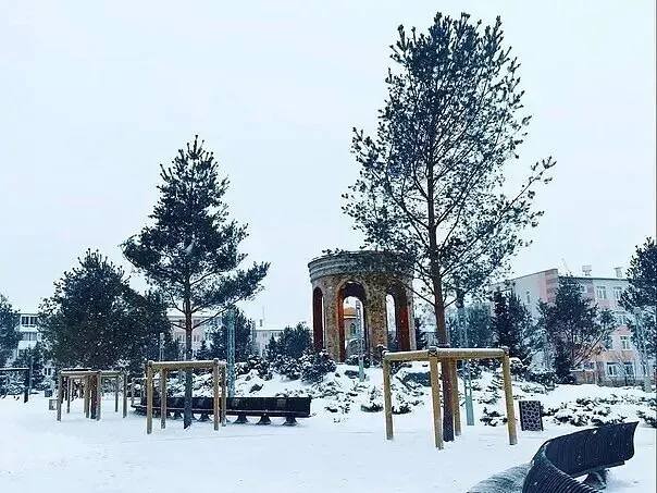 Ботанический сад + экскурсия