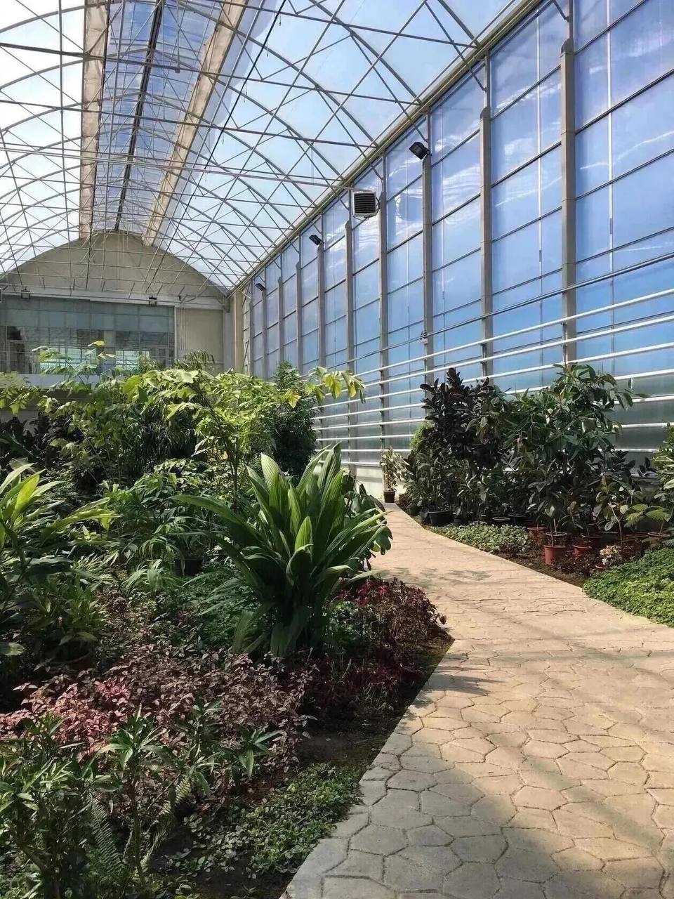 Ботанический сад + экскурсия