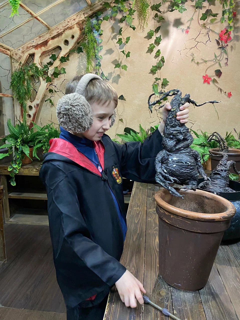 Тайны Хогвартса
