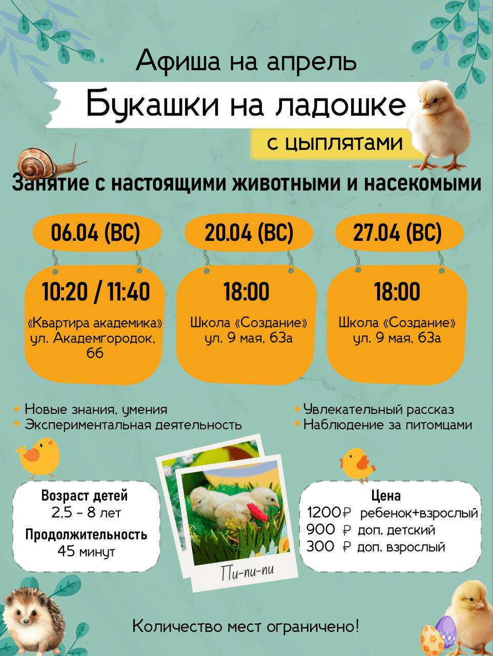 Занятие с настоящими маленькими животными и насекомыми