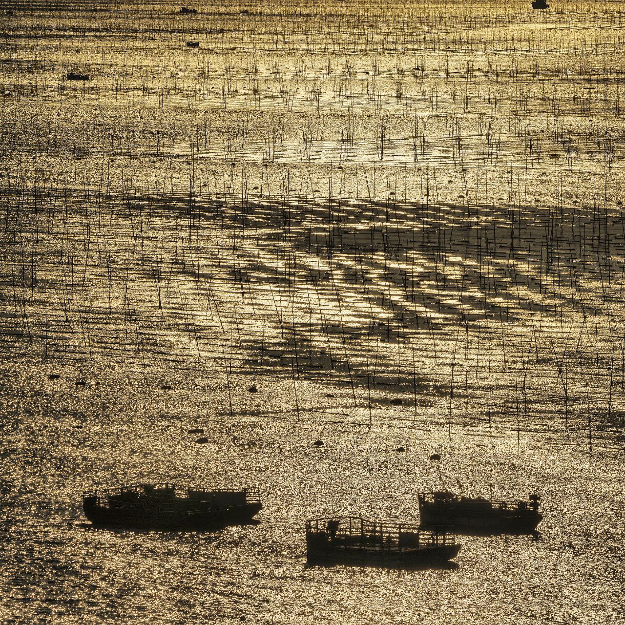 Открытие выставки Сью Пак «Поэзия пустынных пространств»