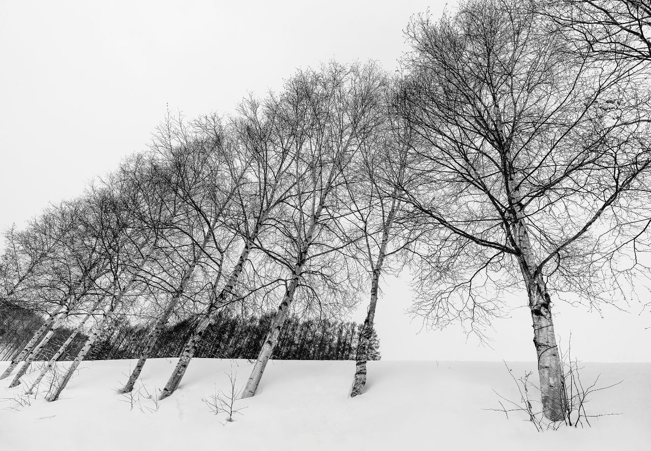 Открытие выставки Сью Пак «Поэзия пустынных пространств»