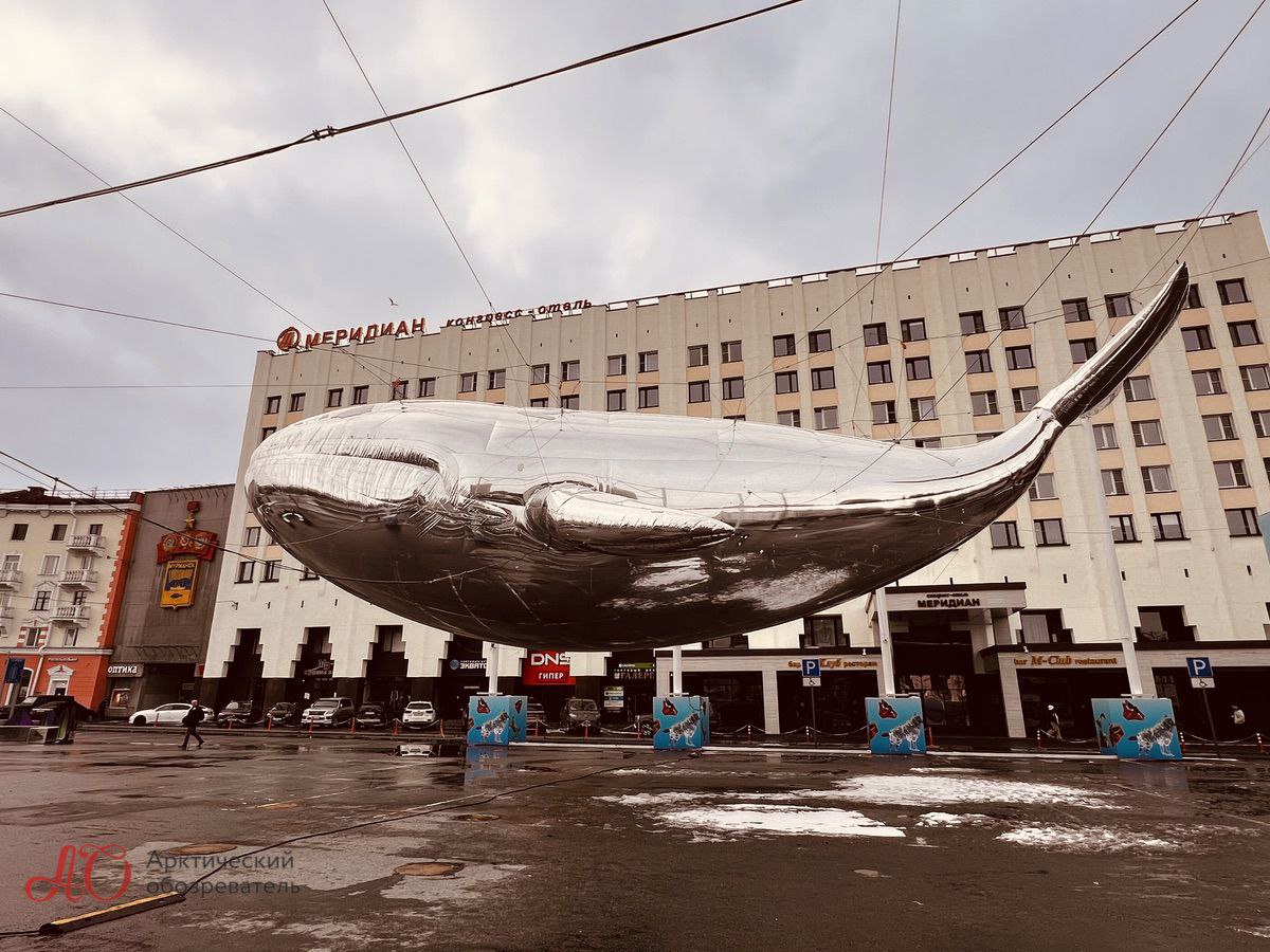 Парящий кит в Мурманске