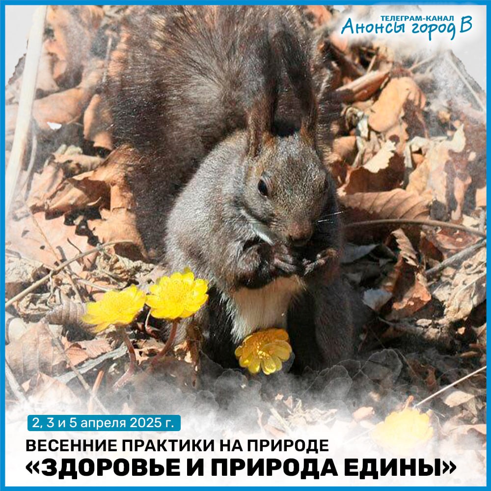 Весенние практики на природе