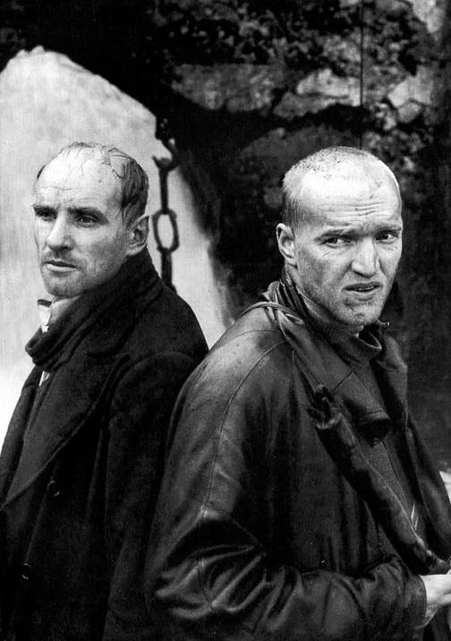 Андрей Тарковский вновь в «Авроре»! смотреть «Сталкер».