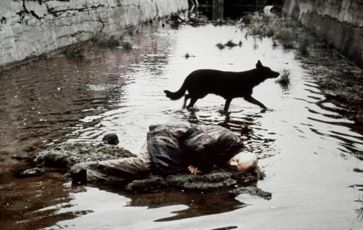 Андрей Тарковский вновь в «Авроре»! смотреть «Сталкер».