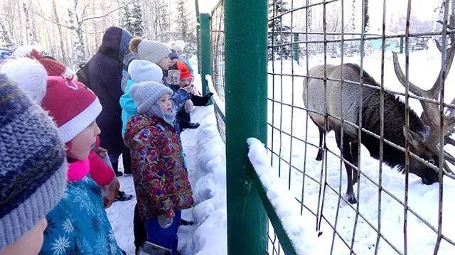Тур в Кузнецкий Алатау