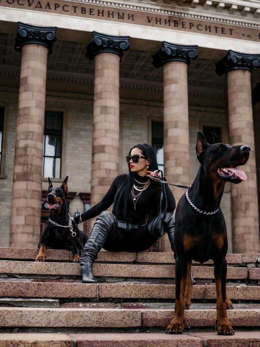 Фотосессия с доберманами