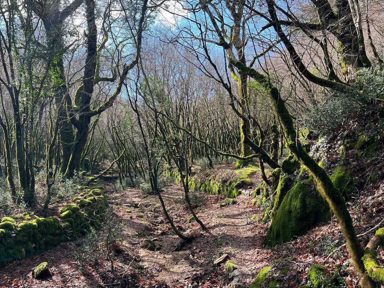 Хайкинг «Исследуя Черногорию»