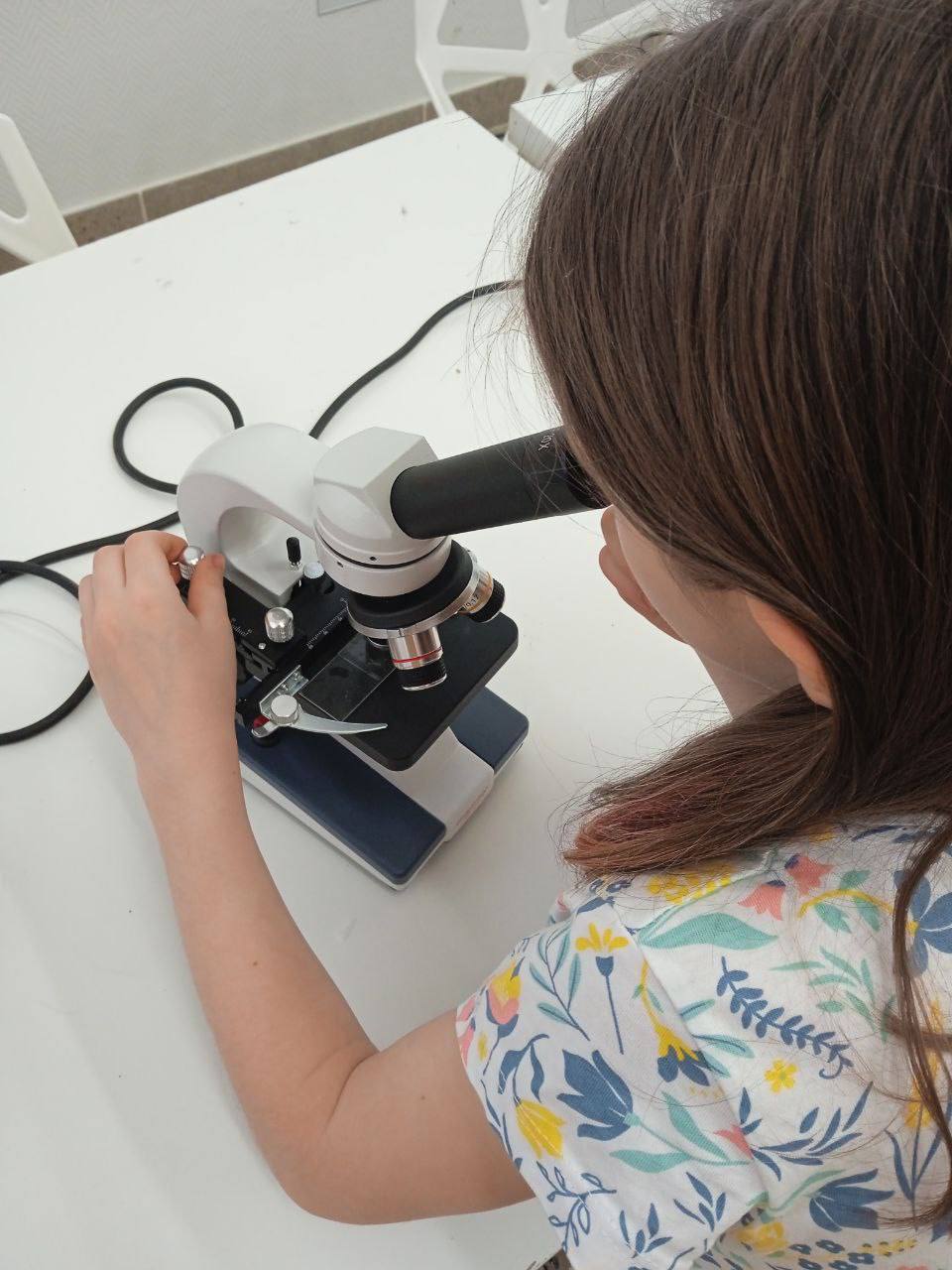 Биологический кружок «МИКРОСКОП и Я». Занятие «Эх, хвост, чешуя»