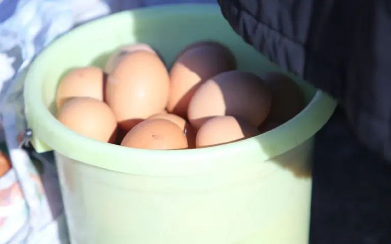 Большая продовольственная ярмарка