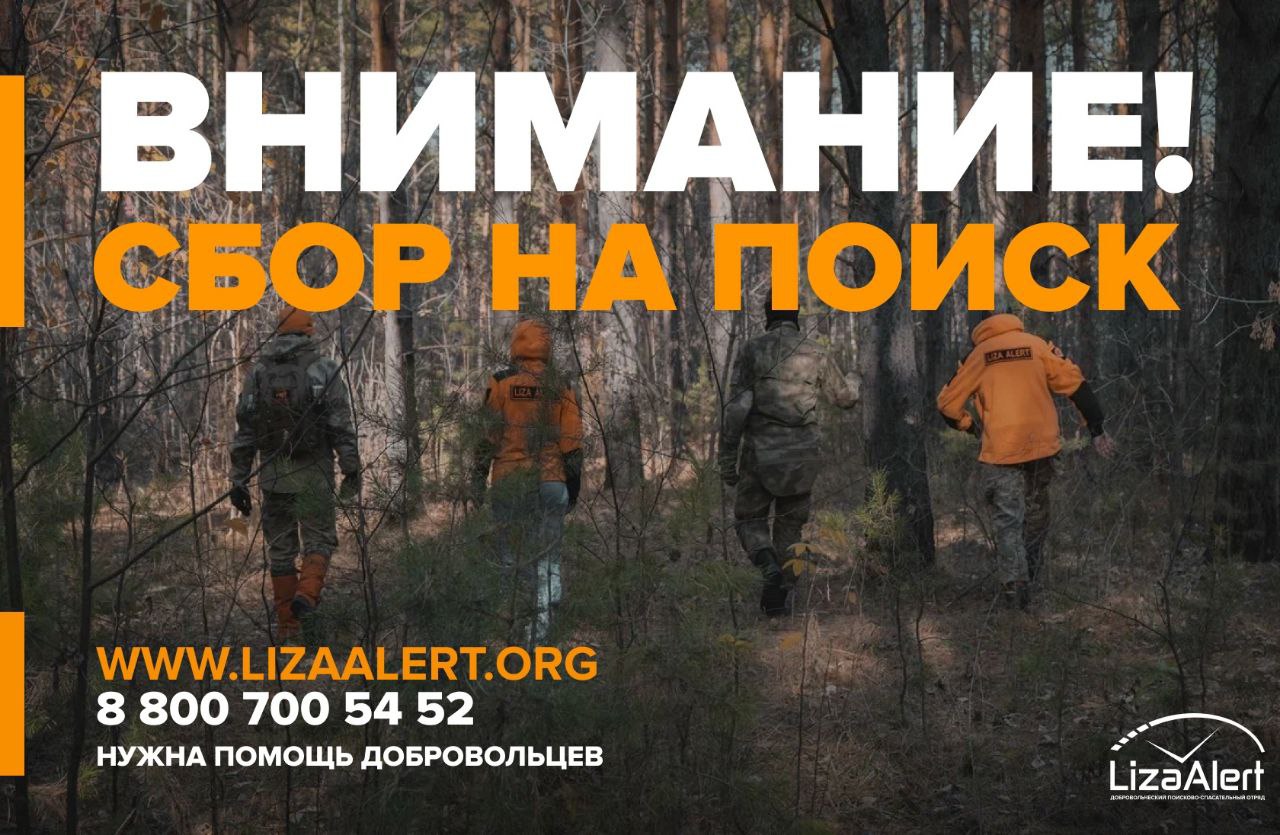 Поиск Шутова Платона