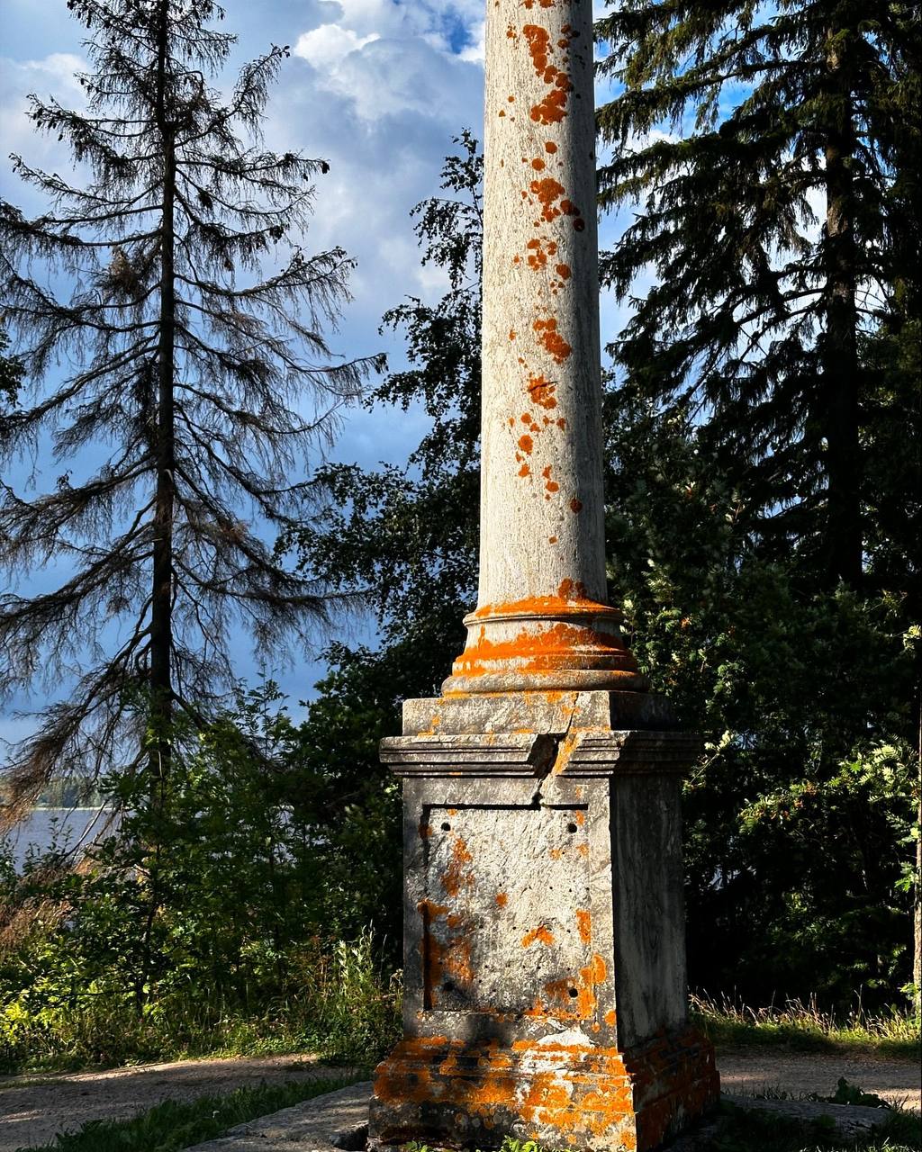 Бесплатно в Монрепо