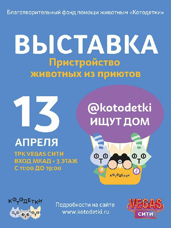 Выставка пристройство животных из приютов