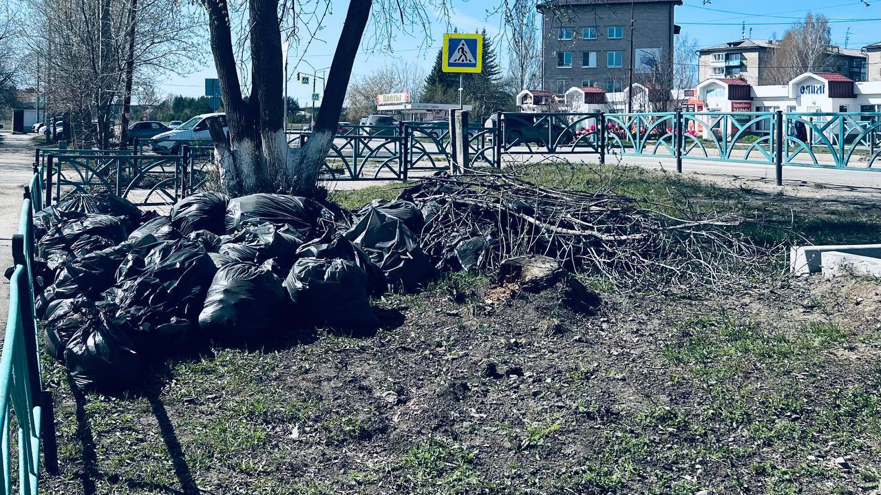 Чиновники идут прибирать детский парк