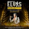 One Night of Elvis