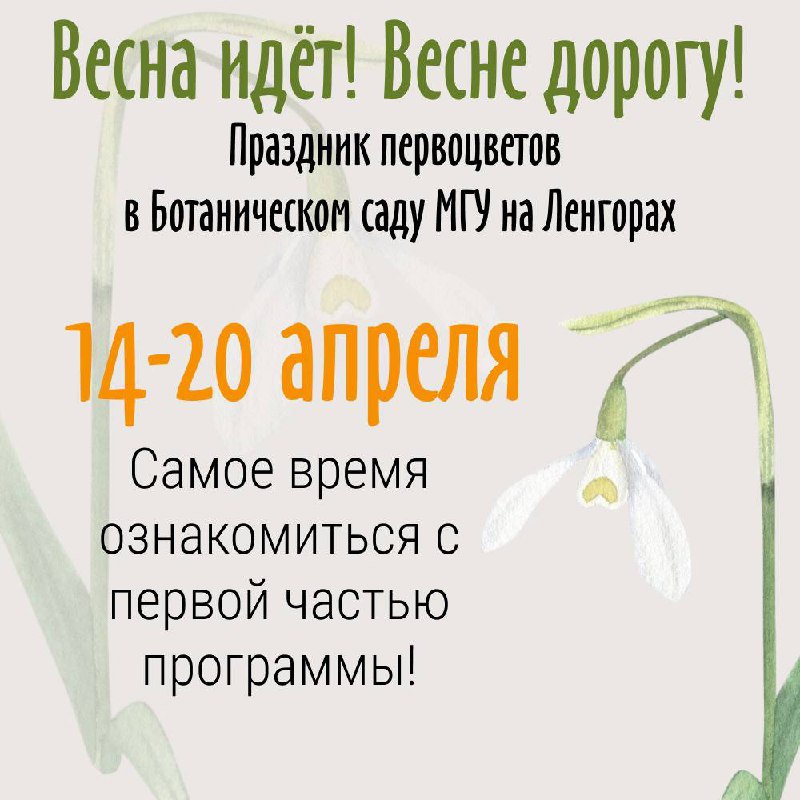 Праздник первоцветов