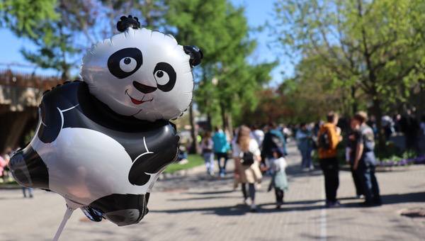 Космическая ЗОО-одиссея