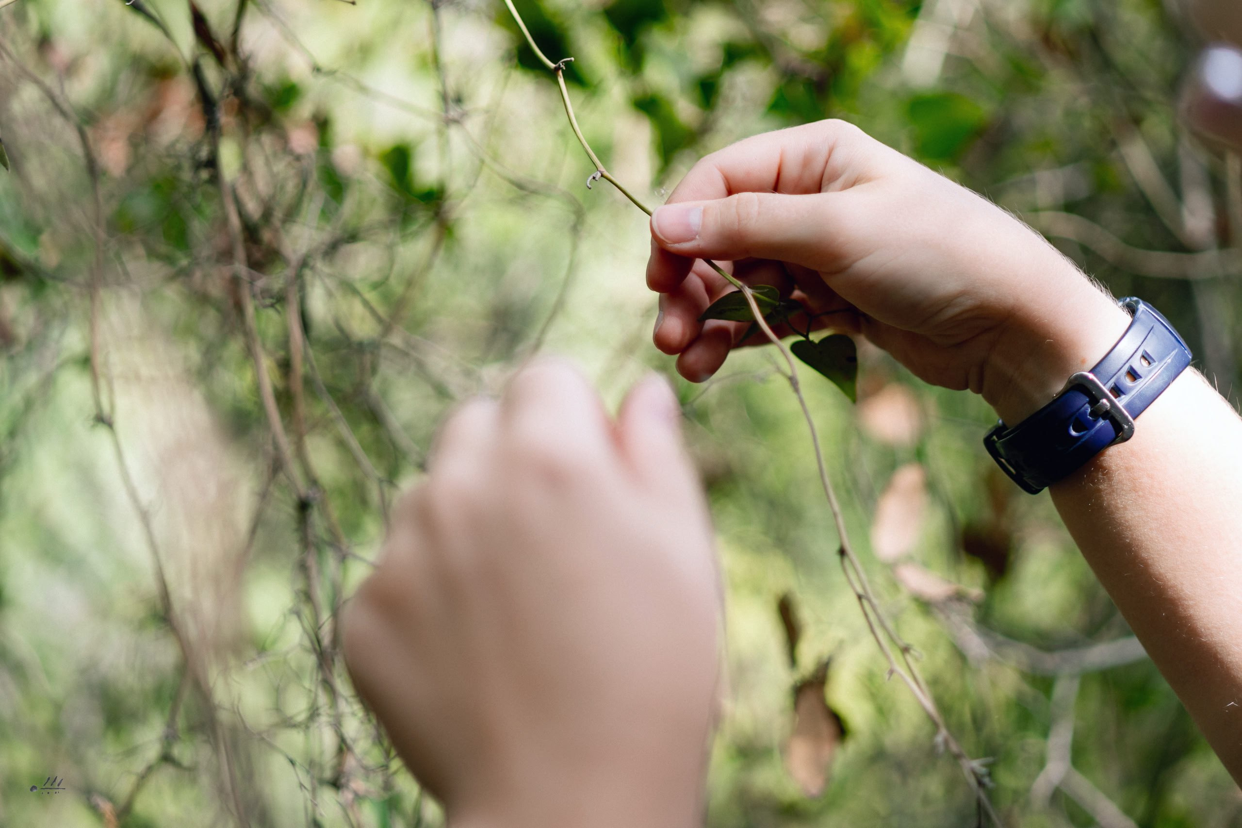 Природная прогулка