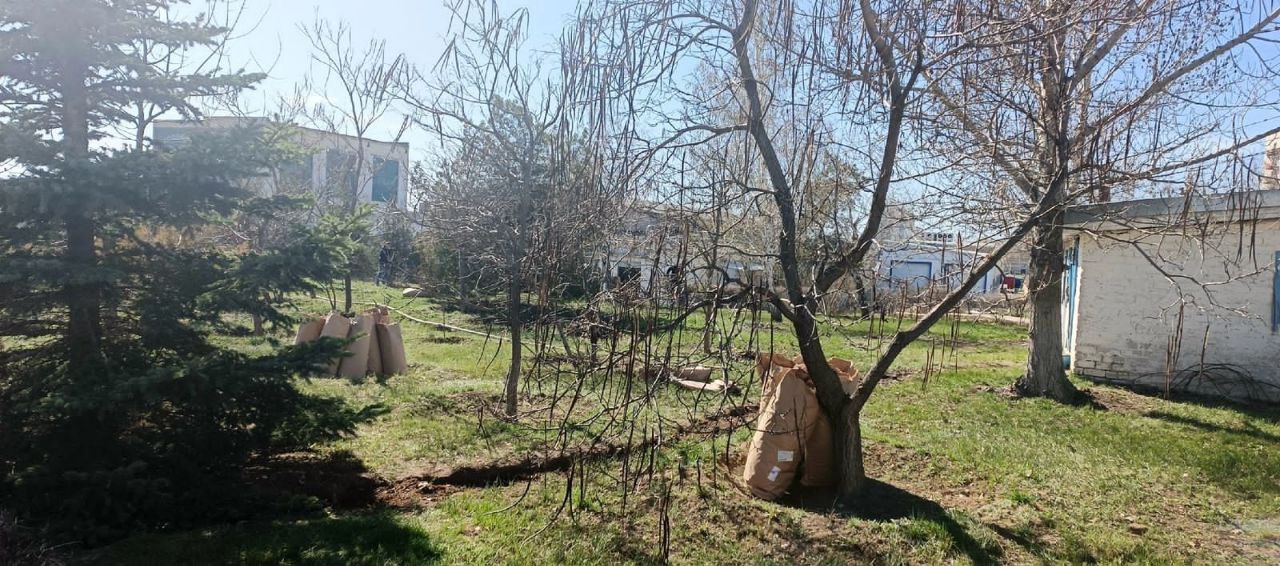 Традиционный общегородской субботник