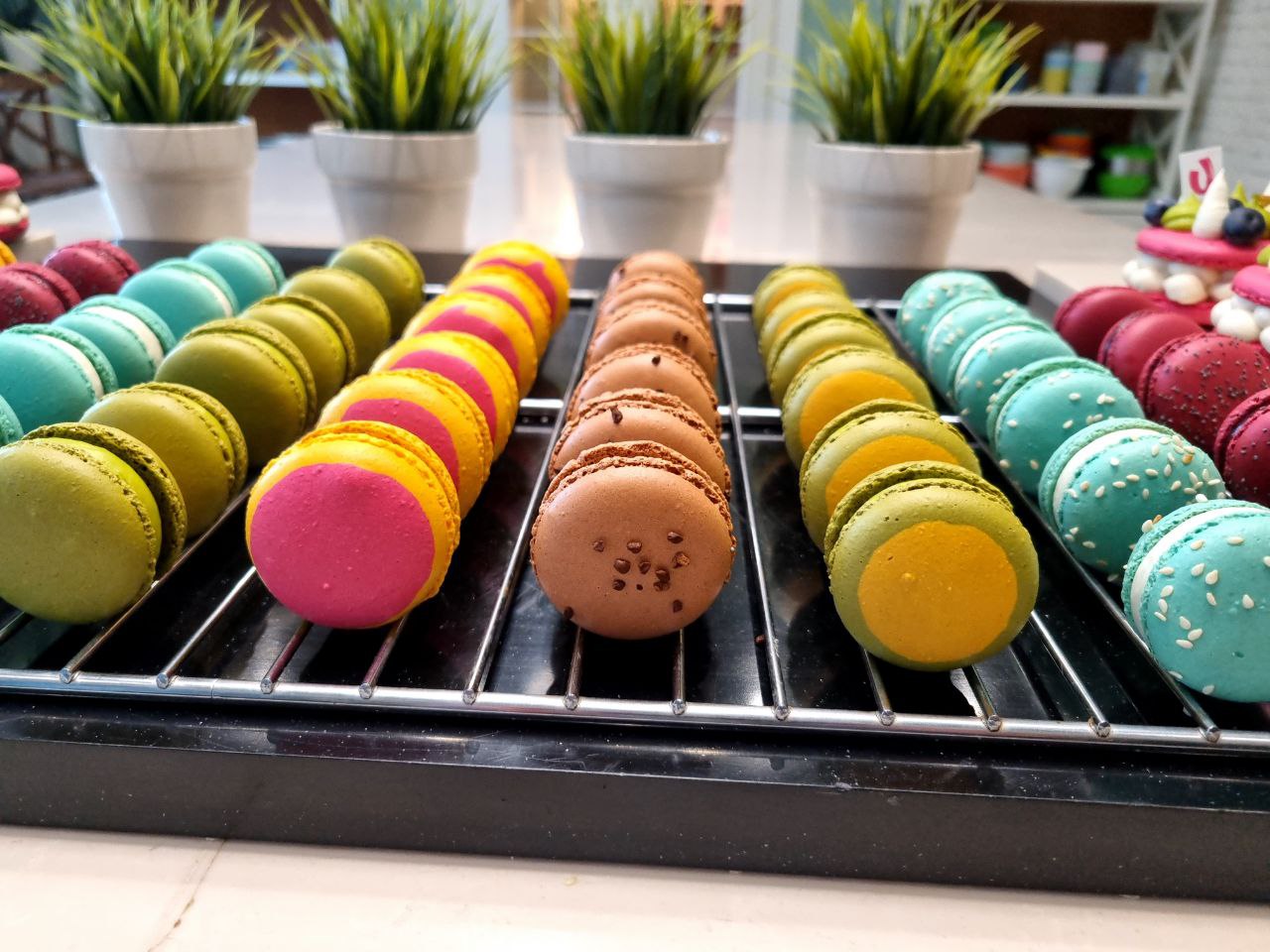 ВСЁ О MACARONS | 1 ДЕНЬ