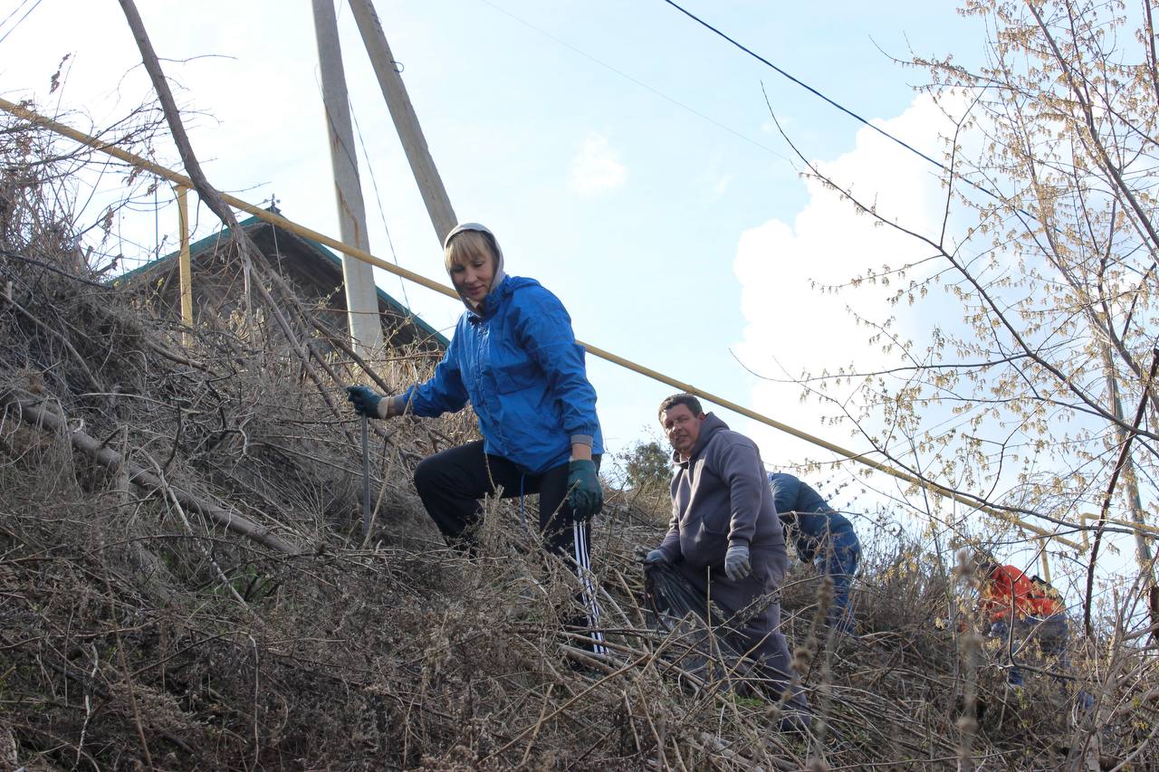 Всероссийский субботник