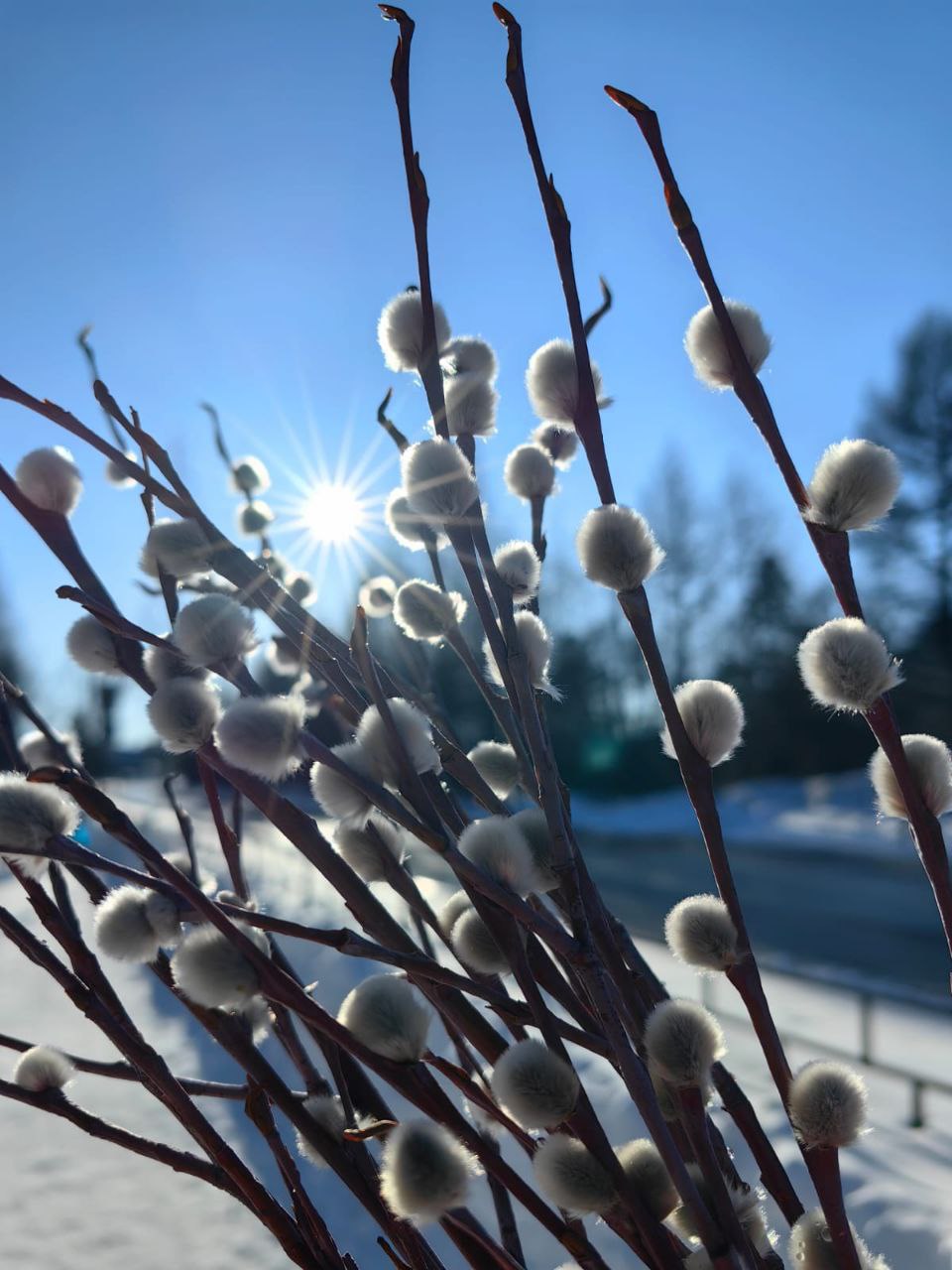 Освящение вербы в Нерюнгри