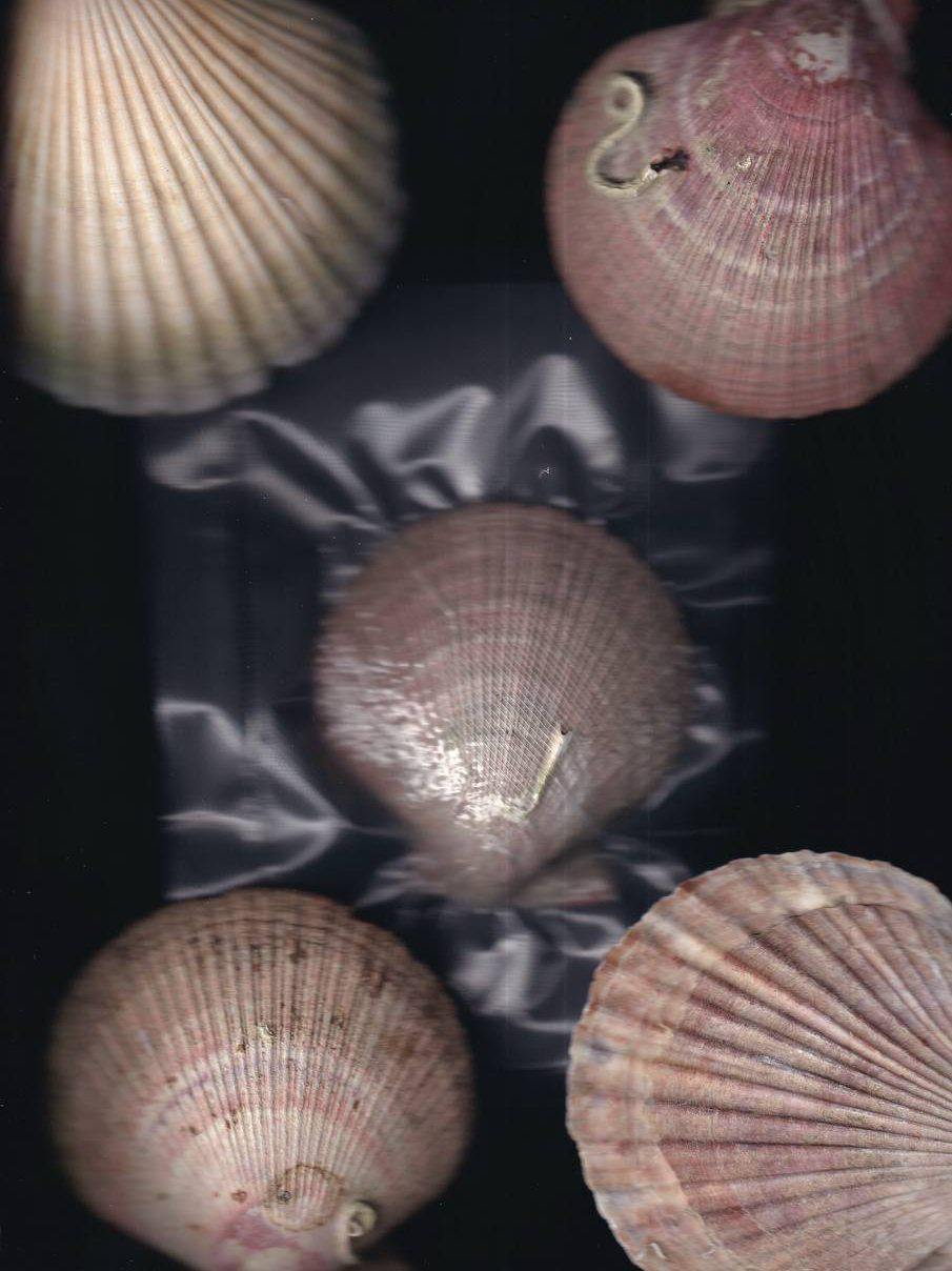 Идём на модный фестиваль