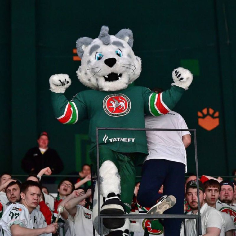 Болеем за «Ак Барс»