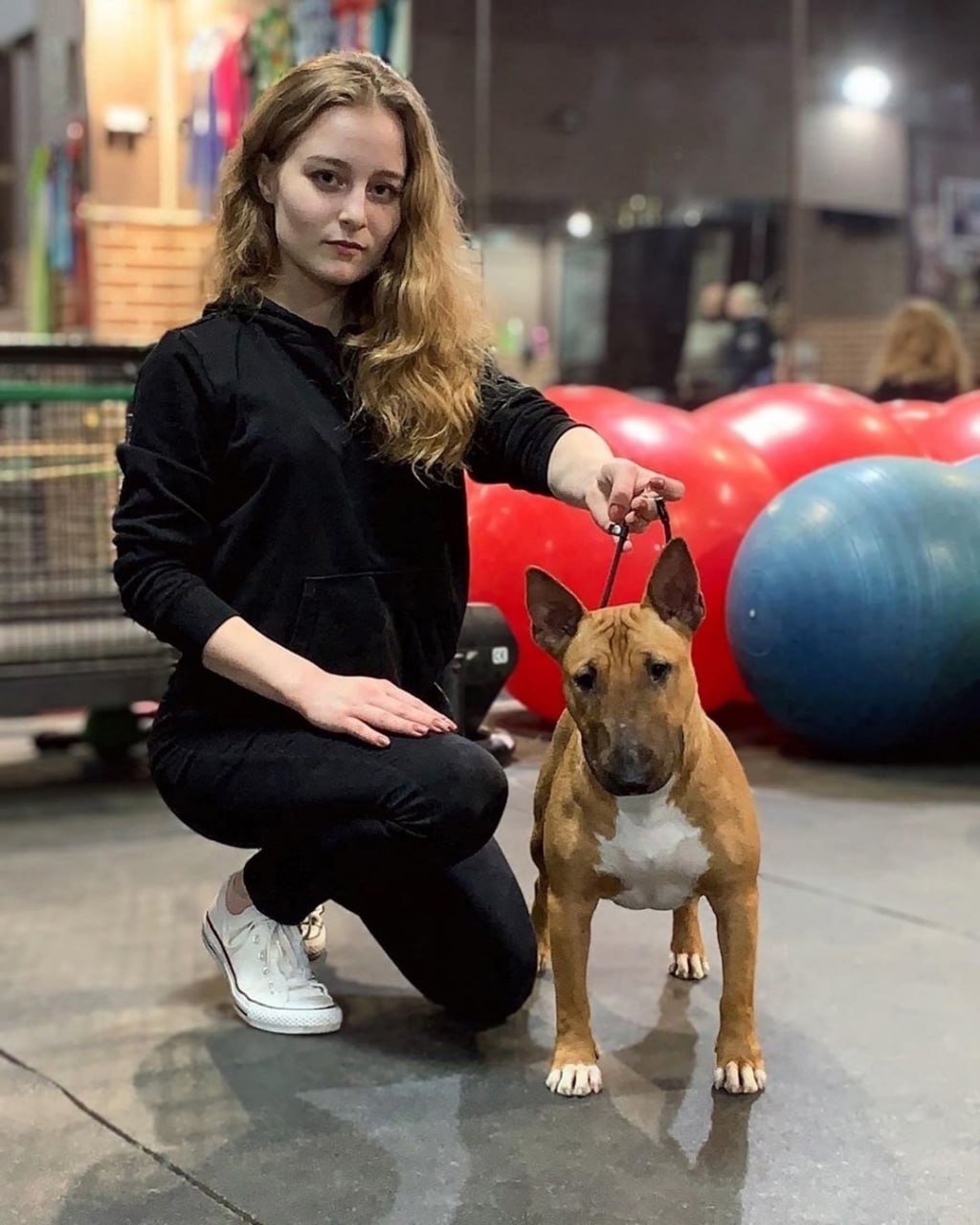 Выставка собак