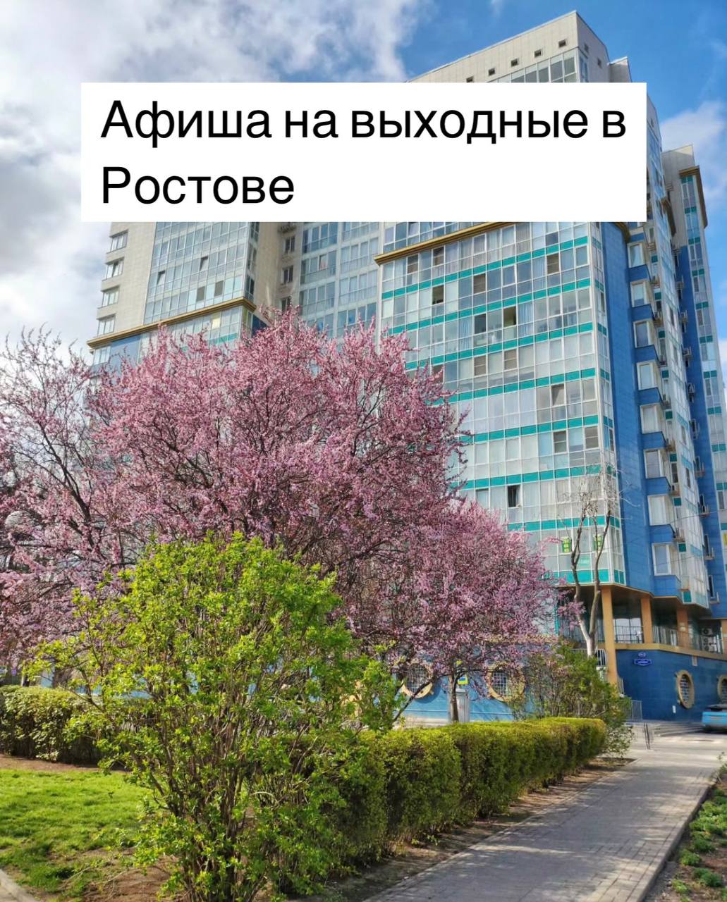 Афиша на выходные