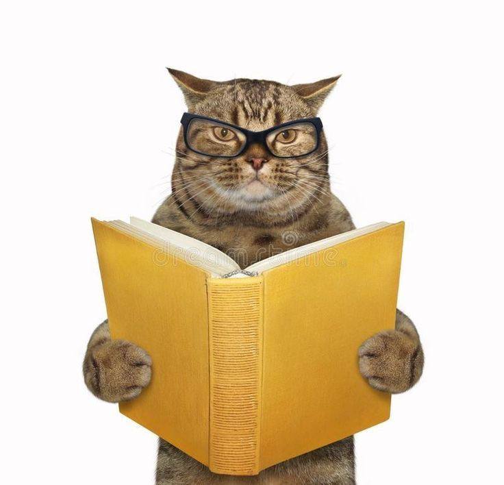 Международная педагогическая конференция