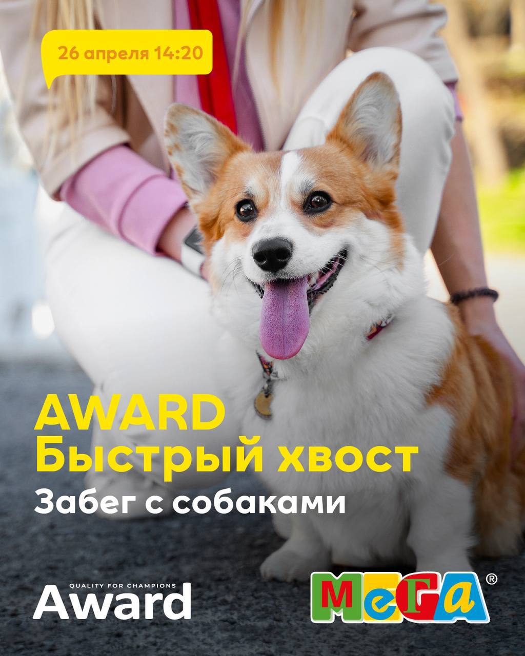 Забег с собаками