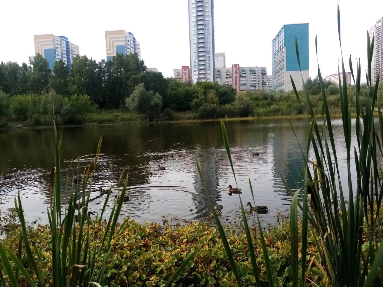 34-й субботник