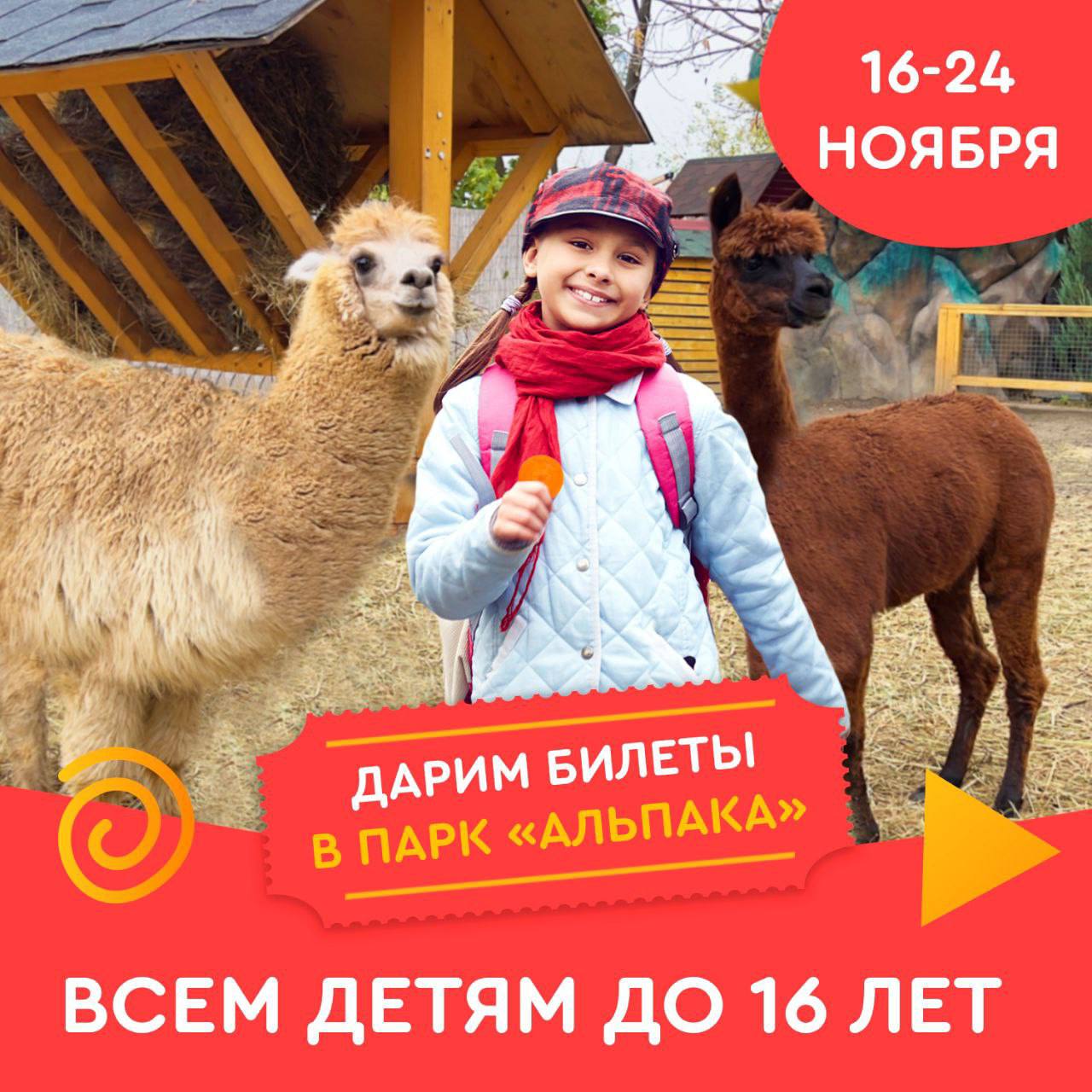 Каникулы с Альпака