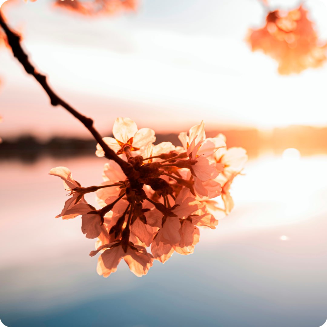 Майские праздники на борту теплохода