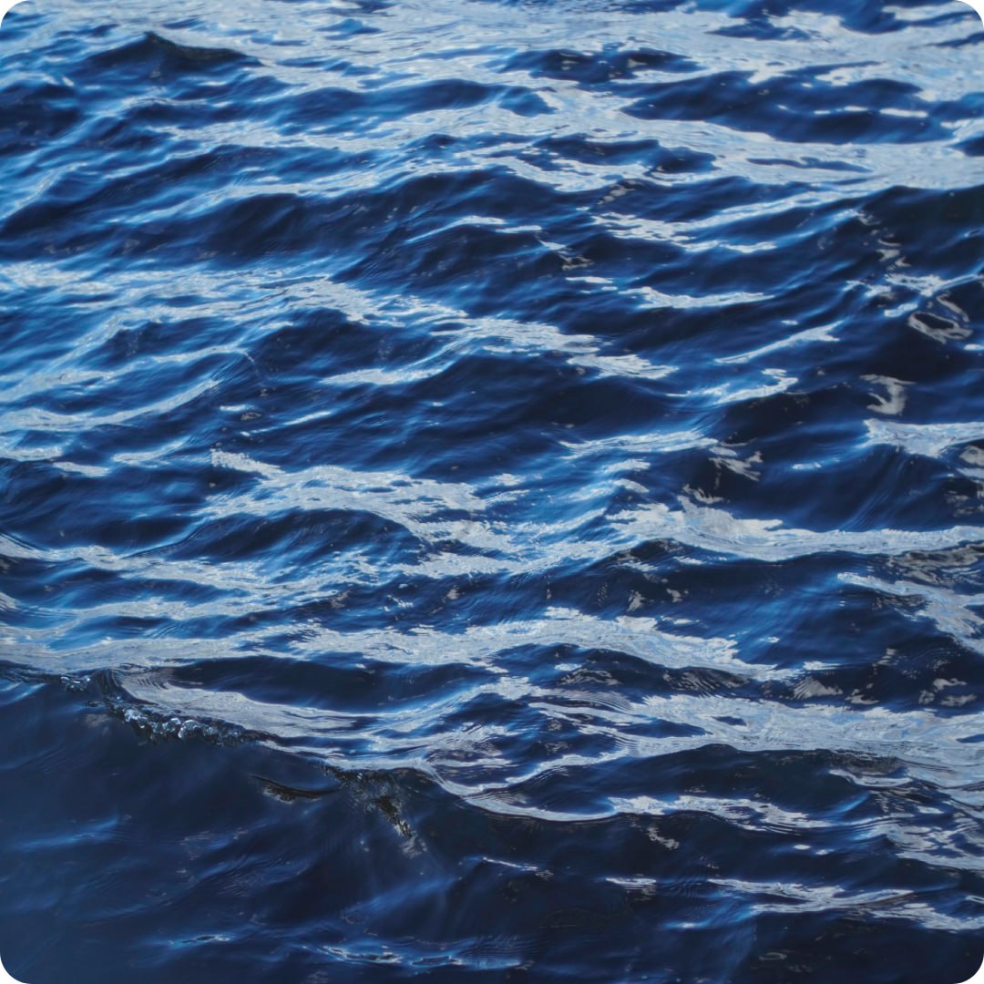 Майские праздники на борту теплохода