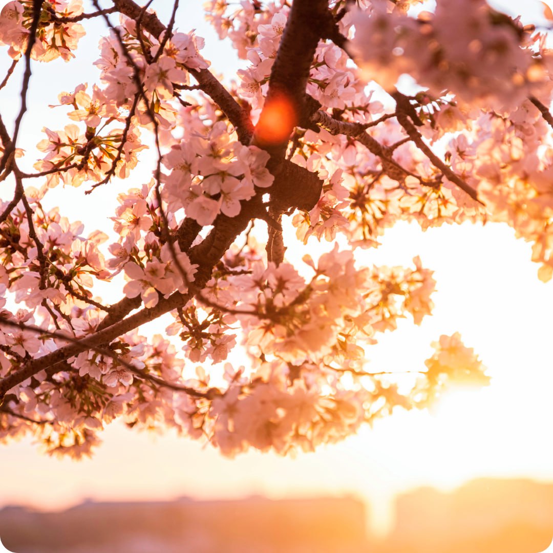 Майские праздники на борту теплохода