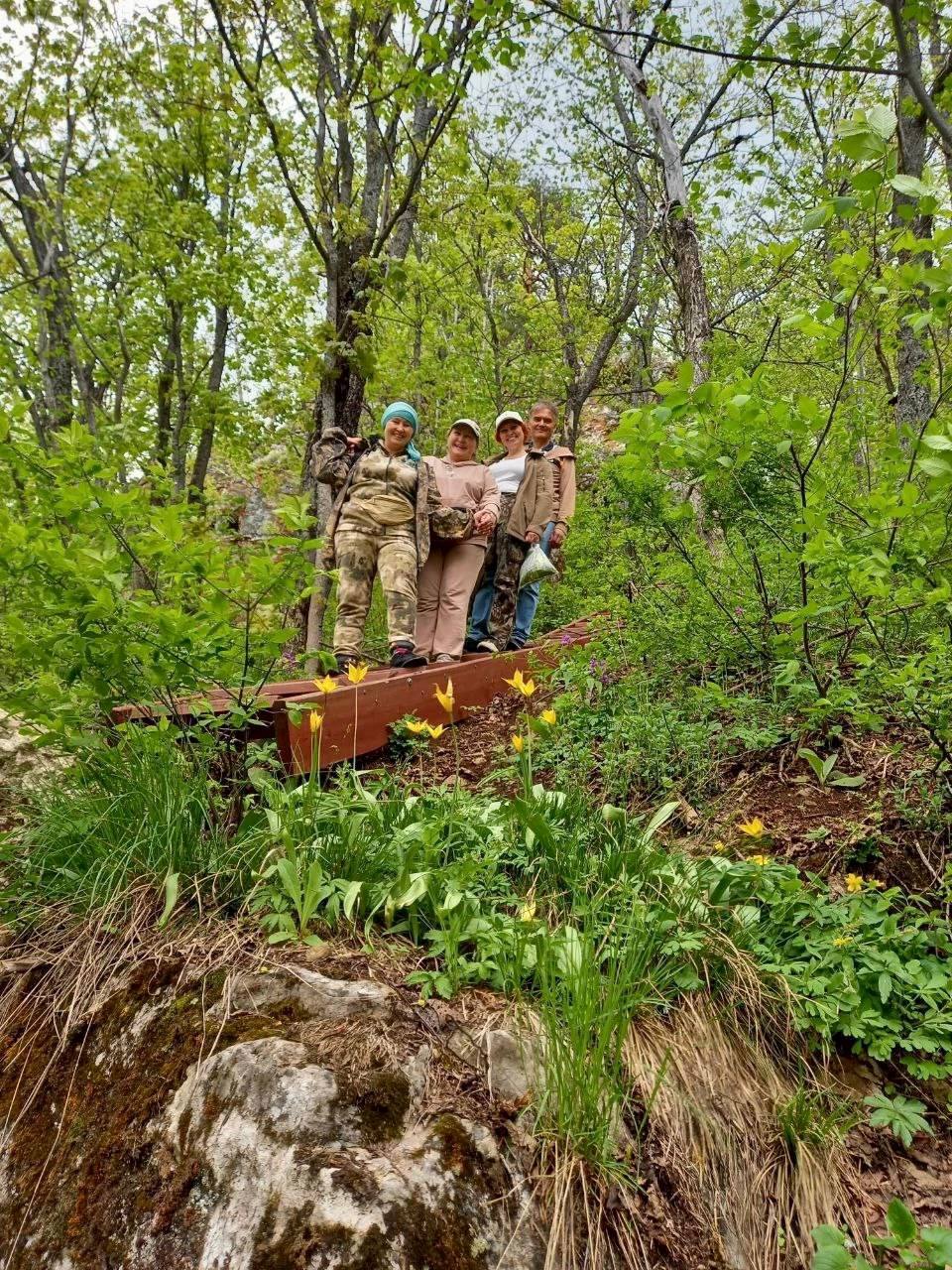 Любуемся дикими тюльпанами