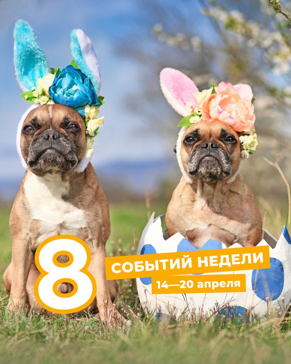 ВОСЕМЬ СОБЫТИЙ НЕДЕЛИ