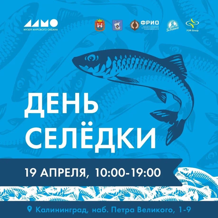 День Селёдки